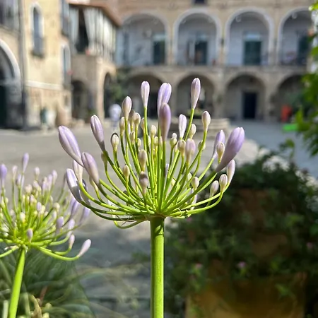 Privatunterkunft Palazzo Capece *
