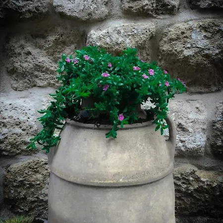 Quarto em Acomodações Particulares Palazzo Capece *