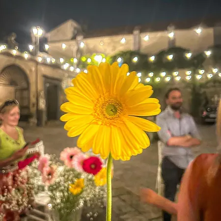 Palazzo Capece Homestay